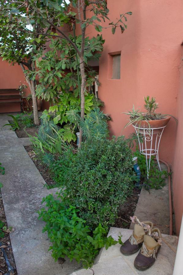 Villa The House Dimitra Nea Fokaia Exterior foto